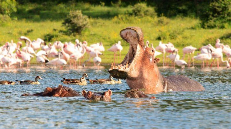 Lake Naivasha 3 days and 2 nights