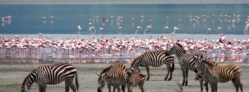 Lake Nakuru National Park 3 Days 2 Nights