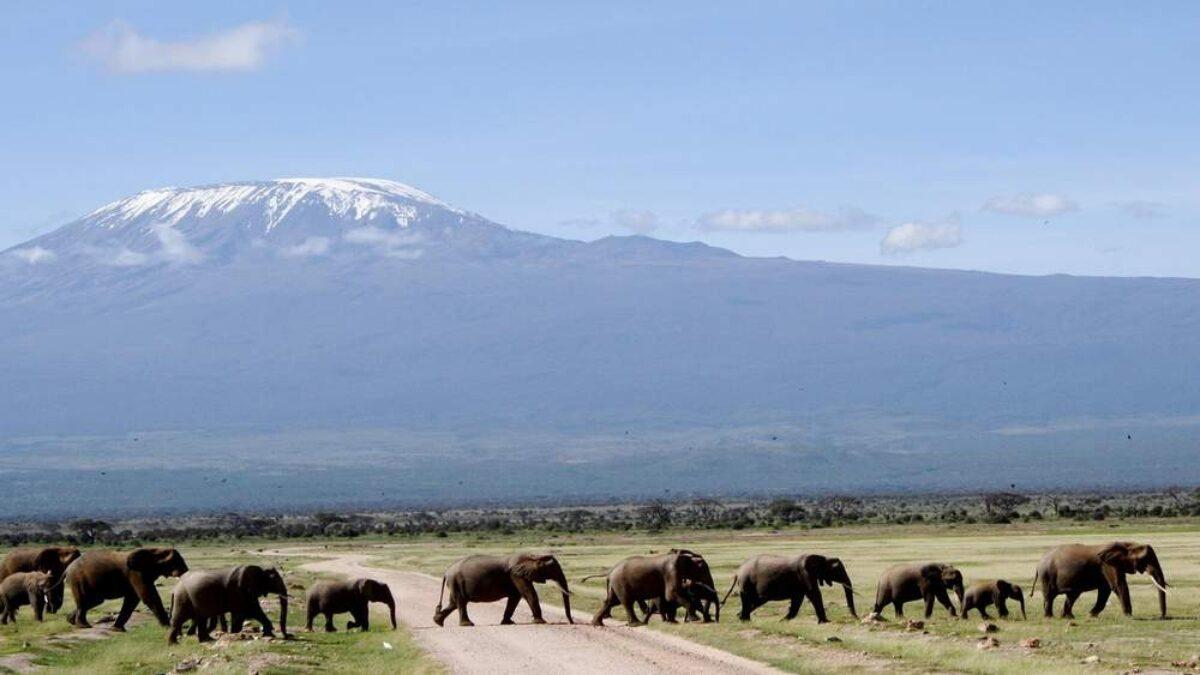 Amboseli National Park 3 days and 2 nights