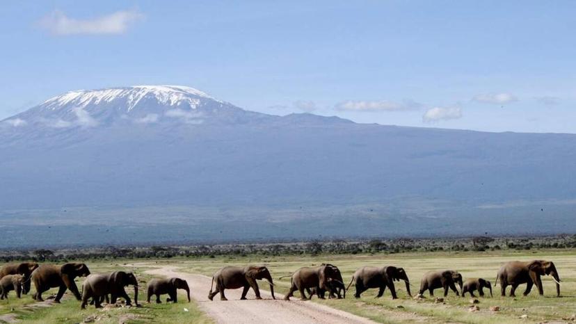 Amboseli National Park 3 days and 2 nights