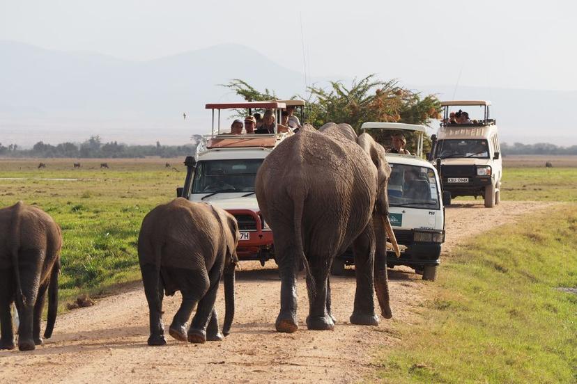 6 Day L. Manyara – Ngorongoro – Serengeti – Tarangire