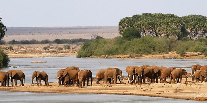 Tsavo National Park 3 days and 2 nights