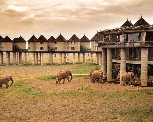 Tsavo National Park 3 days and 2 nights