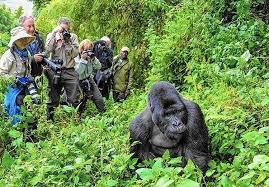 5 Day Budget Game & Gorilla Tour Of Uganda